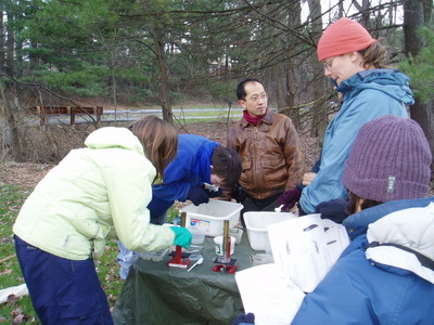 2 - Sorting and identifying the sample